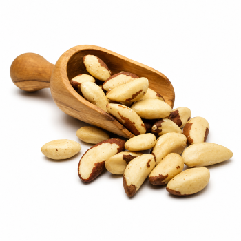 Brazil Nuts 