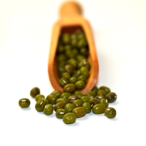 Φασόλια Πράσινα Ροβίτσα Καλαμάτας